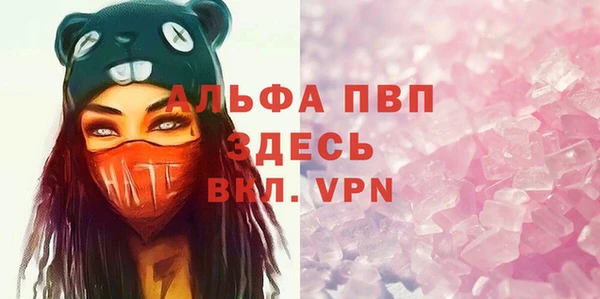 шишки Инсар