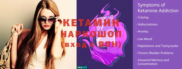 стаф Каменка