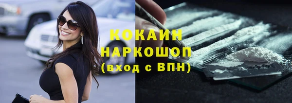 стаф Каменка