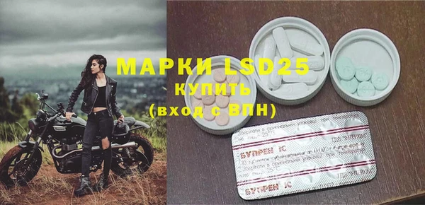 шишки Инсар