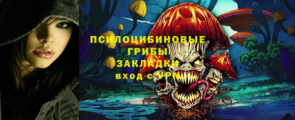 стаф Каменка