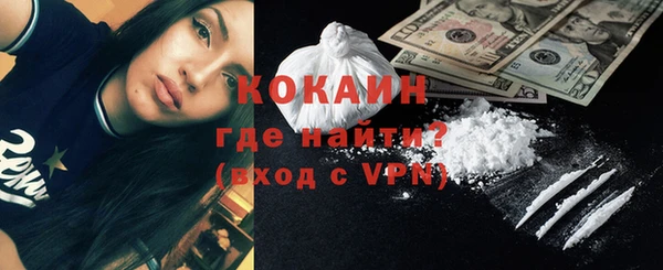 шишки Инсар