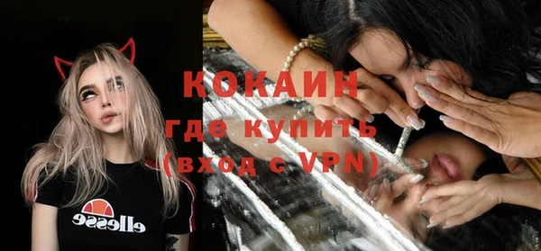 шишки Инсар